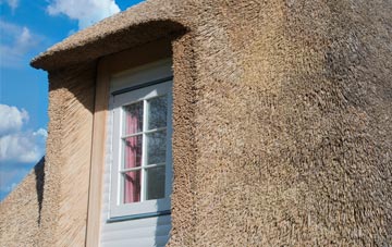 Cordon thatch roof disadvantages
